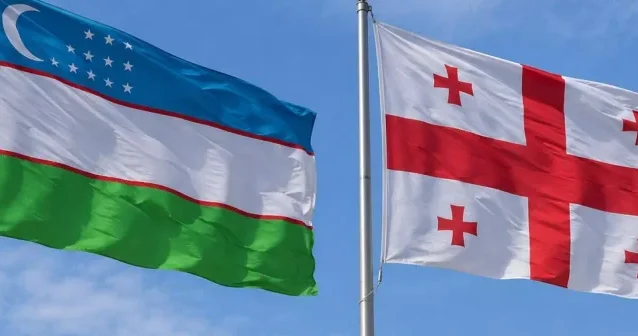 Özbəkistan və Gürcüstan arasında E İcazə sistemi tətbiq edilib