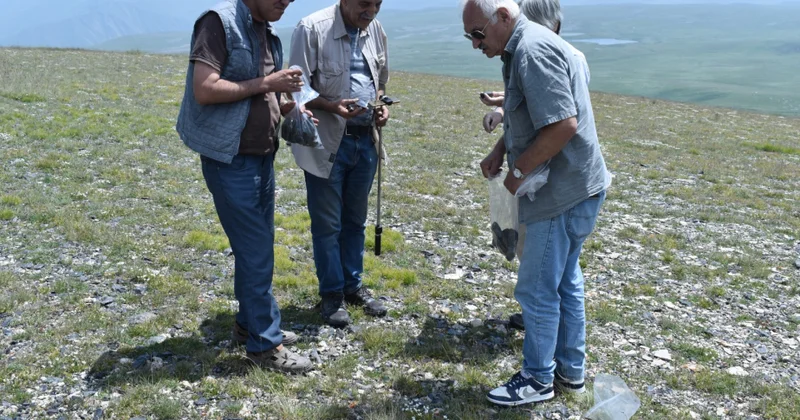 Kəlbəcərin dəvəgözü yataqlarında beynəlxalq arxeoloji tədqiqat aparılıb