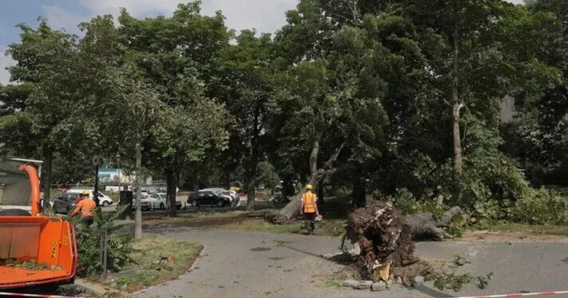 Fransanın cənubunda tufan olub, 26 min ev elektrik enerjisiz qalıb