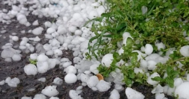 Bu rayonumuza noxud boyda dolu yağdı