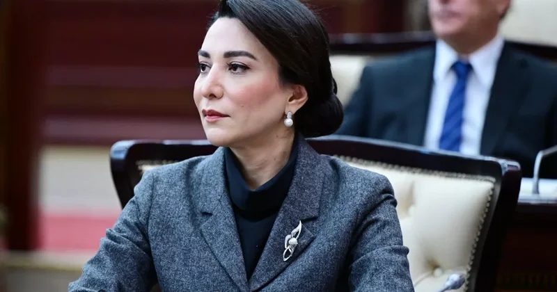 Омбудсмен: Азербайджан придает большое значение продвижению мира