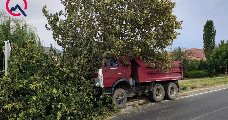 Gəncədə qəza “Kamaz” ağaca çırpıldı+Fotolar