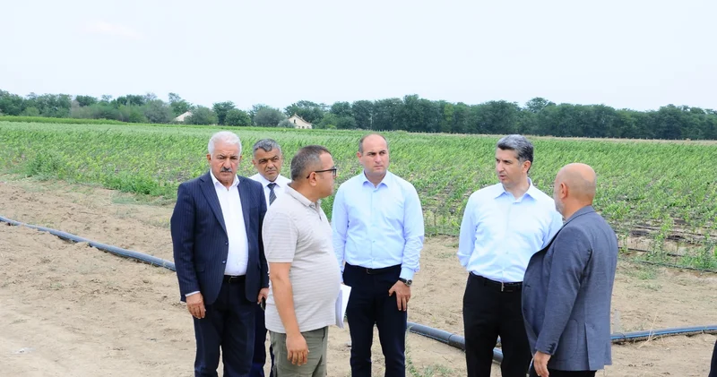 İcra başçısı yeni salınmış intensiv meyvə bağı ilə tanış oldu FOTOLAR