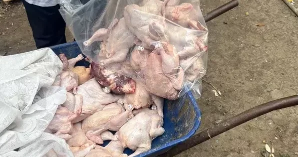 В Азербайджане выявлены нарушения на двух объектах по забою кур