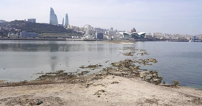 Xəzərin dayazlaşması balıqçılıq sektoruna ciddi zərər vurur