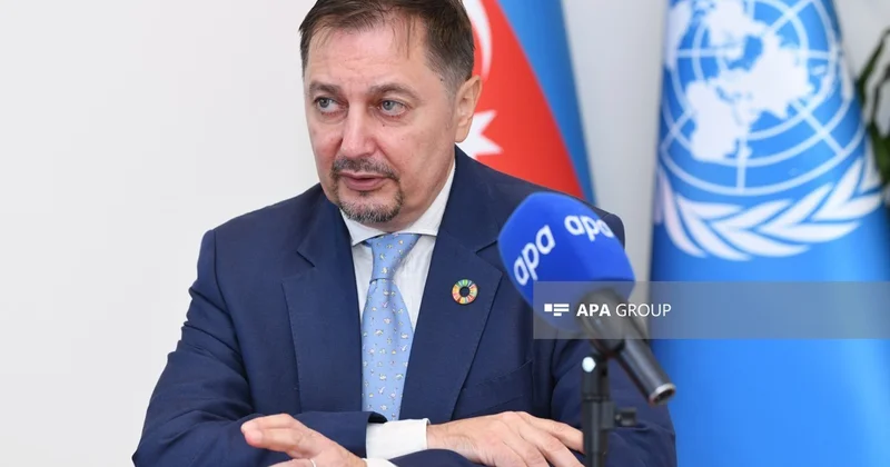 BMT Xəzər dənizi ilə bağlı layihə həyata keçirəcək