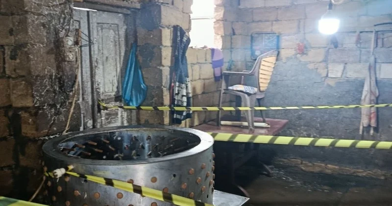 Masallıda qanunsuz toyuq kəsimi sexləri aşkarlandı Fəaliyyətləri məhdudlaşdırıldı