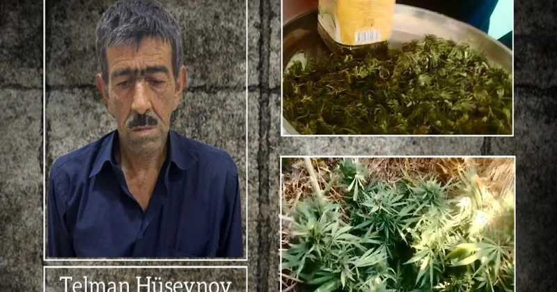 Ucarda narkotik tərkibli bitkilər yetişdirən şəxs saxlanılıb