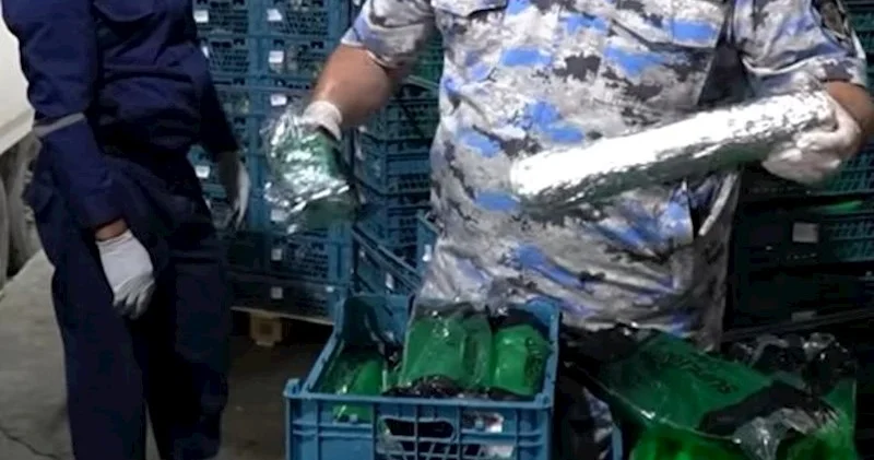 İrandan gələn “kahı” və “kərəviz”dən külli miqdarda narkotik çıxdı Video