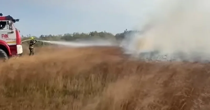 На автомагистрали Баку Алят Астара произошел пожар