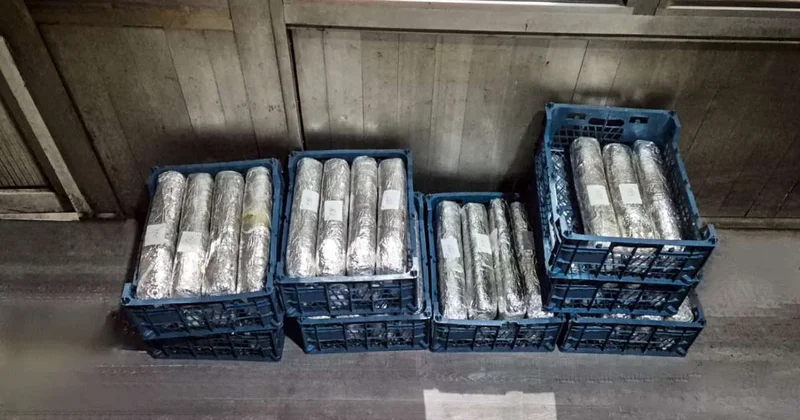 Kahı və kərəviz yükündə 79 kq narkotik vasitə aşkarlandı (FOTO)