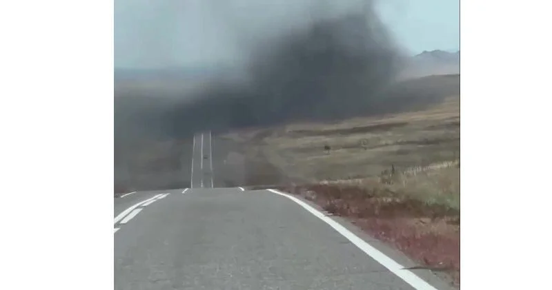 Огромное облако из насекомых перекрыло дорогу в России ВИДЕО