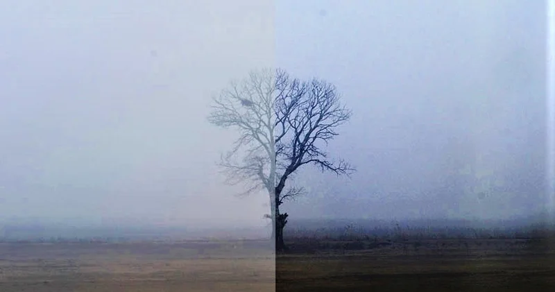 Hamının yox olduğu Yolun sonu: O kişi kim idi?..
