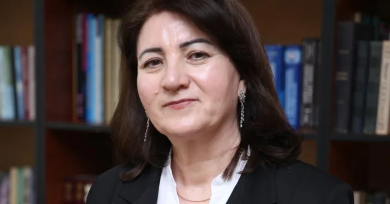 Qafqaz Albaniyasının mədəni irsi tədqiqat