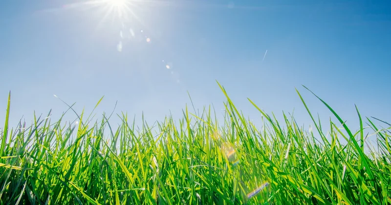 Воздух в Азербайджане прогреется до 34°