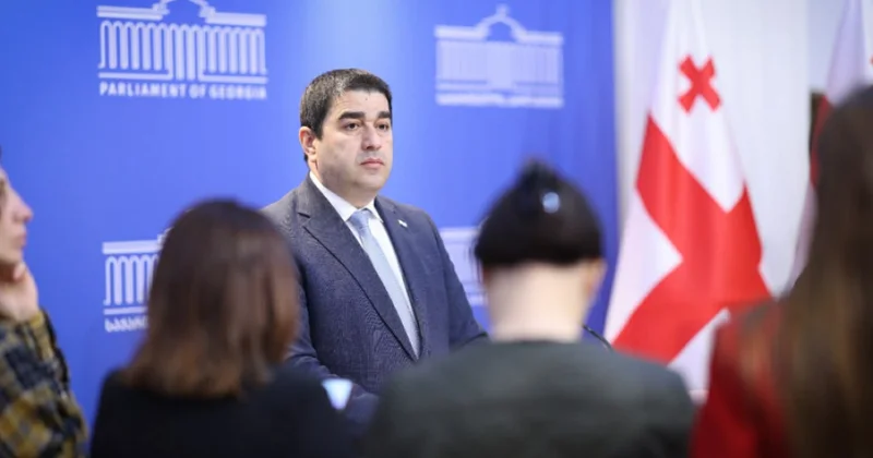 Gürcüstan ilə Avropa Şurası arasında münasibətlər yenidən gərginləşə bilər