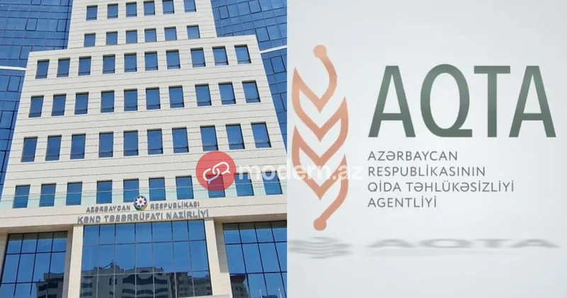 Dabaq xəstəliyi: Heyvanları kim peyvəndləməlidir? Qurumlar məsuliyyəti bir birinin üzərinə atdı