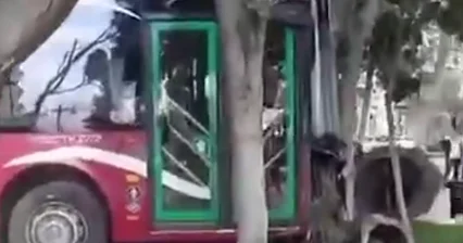 Автобус въехал на территорию бульвара в Баку ВИДЕО