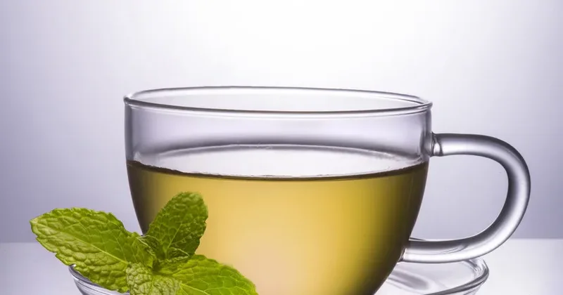 Yaşıl çay fastfudun zərərini azaldırmır
