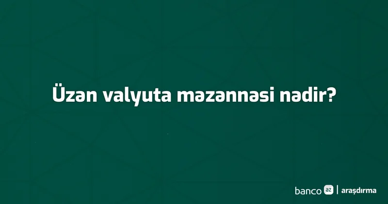 Terminlər və izahı: Üzən valyuta məzənnəsi nədir?