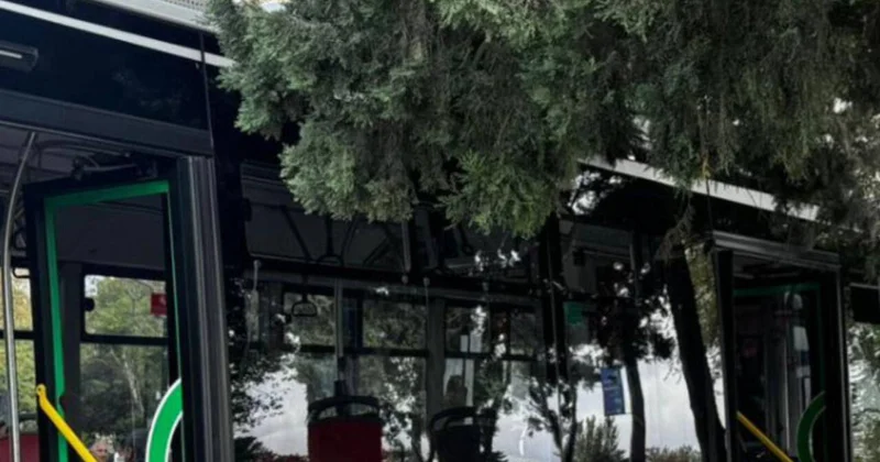 Sürücünün halı qəfil pisləşib, avtobusu dayandıra bilməyib...