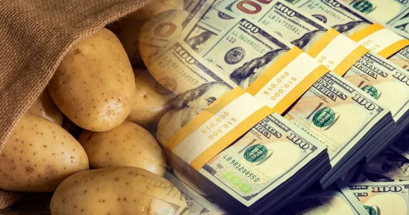 Азербайджан выручил от экспорта картофеля почти 30 млн долларов