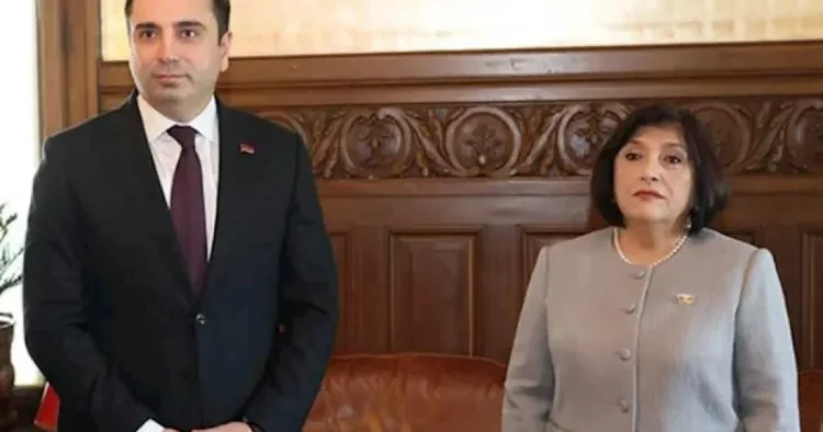 Cenevrədə Sahibə Qafarova və Alen Simonyan arasında görüş keçirildi YENİLƏNİB