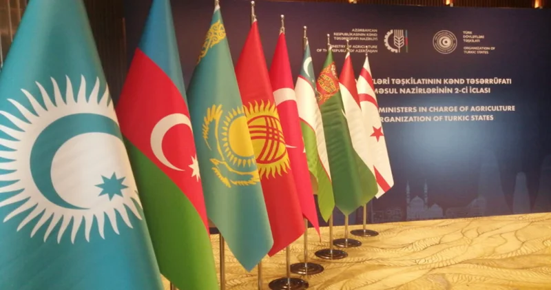 “TDT üzv dövlətlərin birləşməsi mütləqdir” Şərh