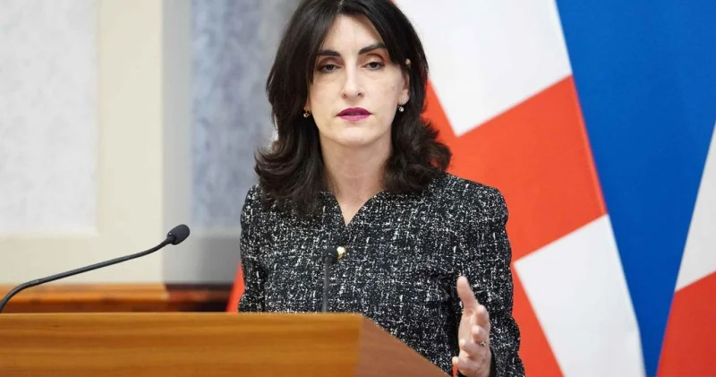 Heç kim bizi vizasız rejimin dayandırılması ilə qorxuda bilməz Gürcü nazir