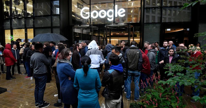 Клопы захватили офис Google