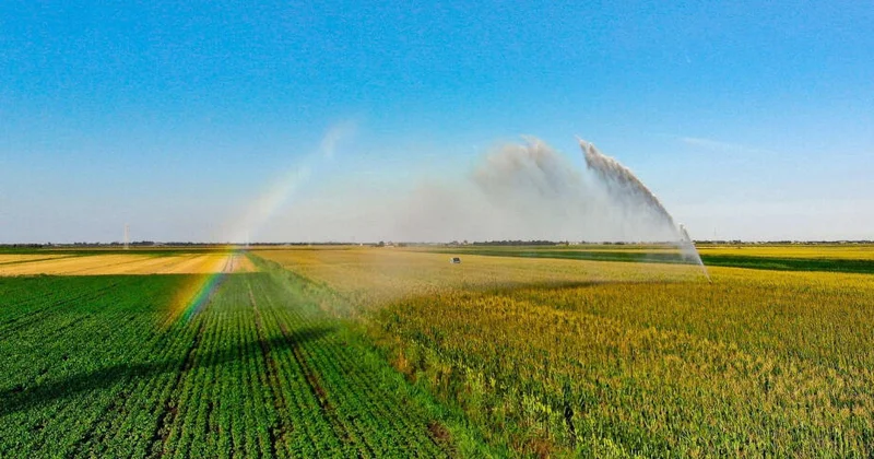 Мировое сельское хозяйство нарастило использование водных ресурсов