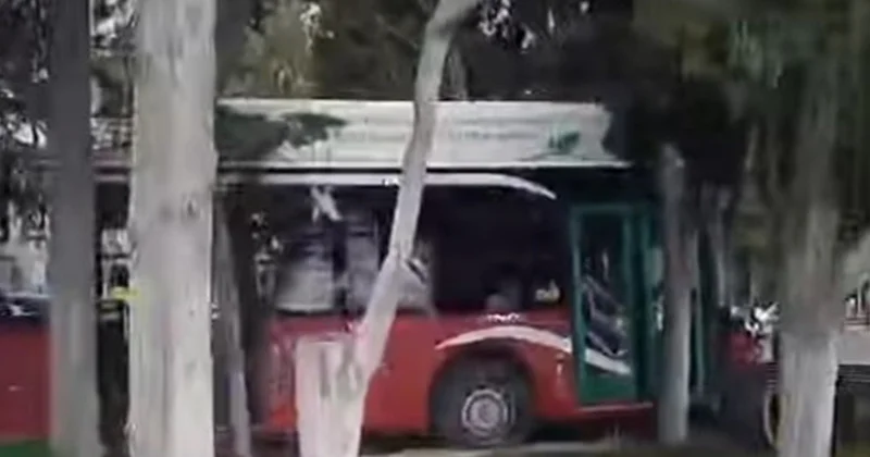 Bulvardakı avtobus qəzası ilə bağlı Rəsmi açıqlama Yenilənib
