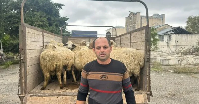 Daha altı rayonda 105 sakinə özünüməşğulluq proqramı çərçivəsində aktivlər təqdim edilib