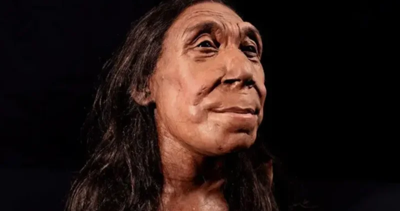 Neandertallar bir birini öldürürmüş? 75 min illik sirr