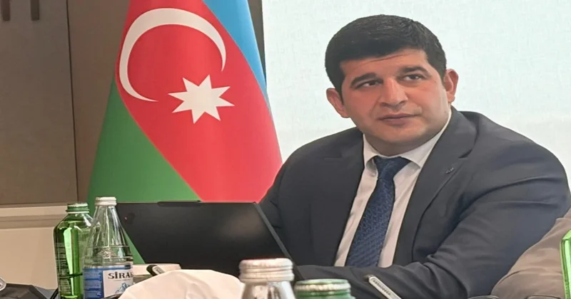 Daşınmaz əmlakın sığortalanması üçün elektron məlumat bazalarına çıxış genişləndiriləcək