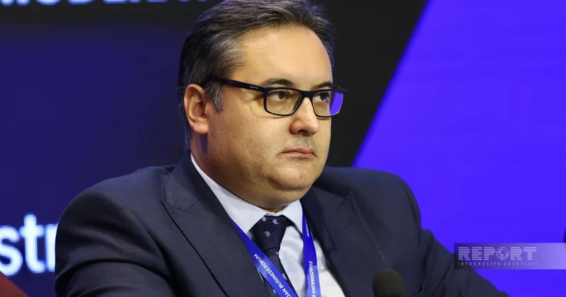 Эльмир Поладов: Перевозки по Среднему коридору зависят от пропускной способности Каспия