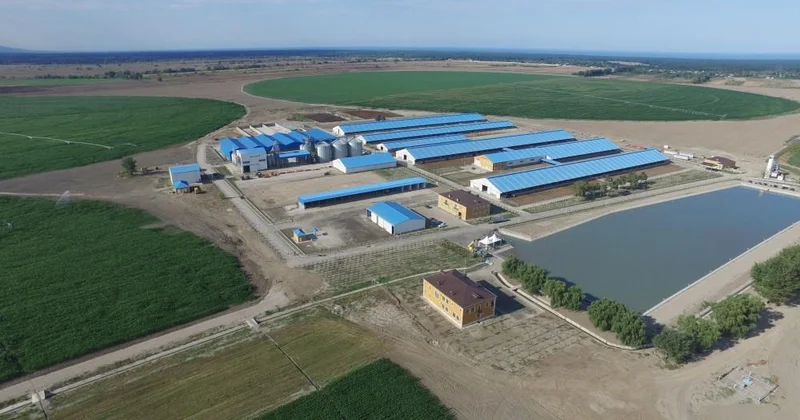 Şəmkirdə 600 min manat kapitalla yeni şirkət yaradılıb