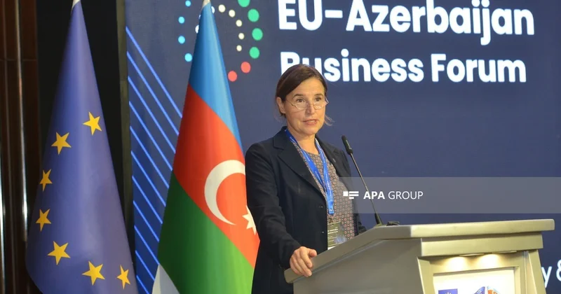 Səfir: Aİ ilə Azərbaycan arasında yeni saziş üzrə danışıqlar davam edir