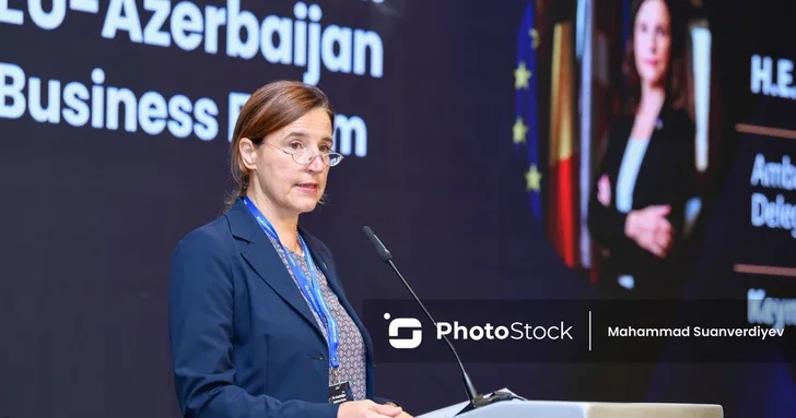 Посол Евросоюза в Баку рассказала о ходе переговоров по модернизации двусторонних отношений