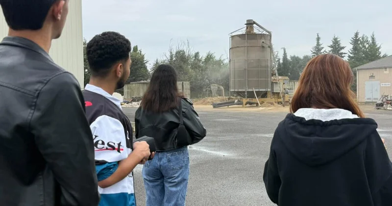 Plantasiyalardan süfrəyə FOTO