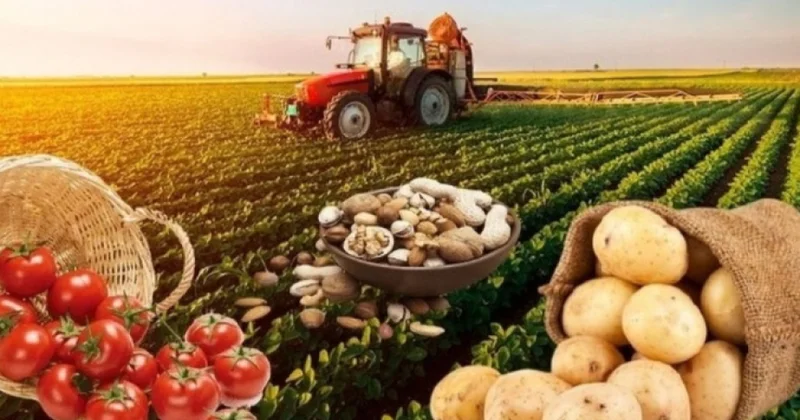 2030 cu ildə Azərbaycanın kənd təsərrüfatı və ərzaq məhsullarının ixracı 6 milyard dollara yüksələcək