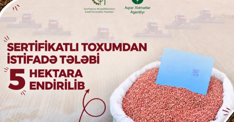 Azərbaycanda yerli toxumçuluğun təşviqi üçün yeni mexanizmlər tətbiq edilir
