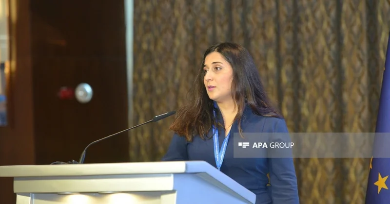 Son bir ildə Qarabağ və Naxçıvana investisiya yatıran Aİ şirkətlərinin sayı xeyli artıb