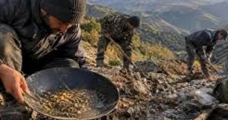 Lerikdə qanunsuz qızıl axtaran şəxslər yaxalanıblar