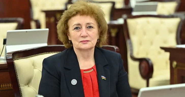 Передача TƏBİB Минздраву: депутат объяснила значение реформ здравоохранения в Азербайджане