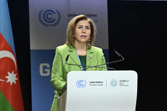 COP29 I “Şəffaflıqda gender” tədbiri keçirilib