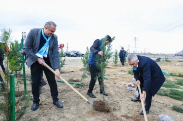 Sabunçuda YAPın təsis edilməsinin 32ci ildönümü münasibətilə ağacəkmə aksiyası keçirilib