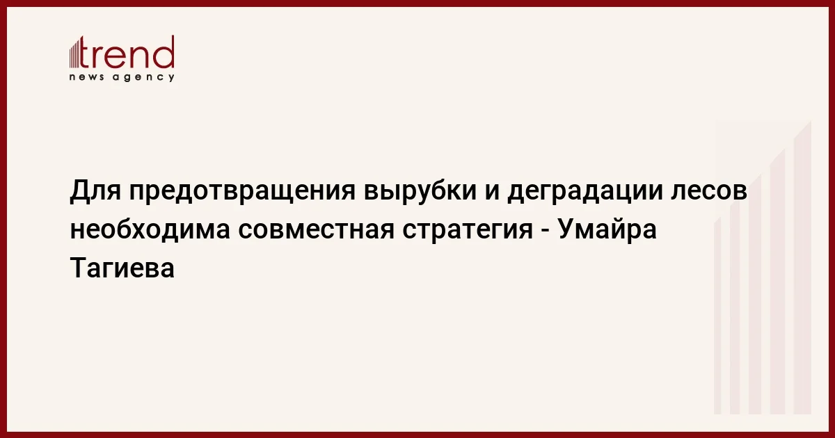 Для предотвращения вырубки и деградации лесов необходима совместная стратегия Умайра Тагиева