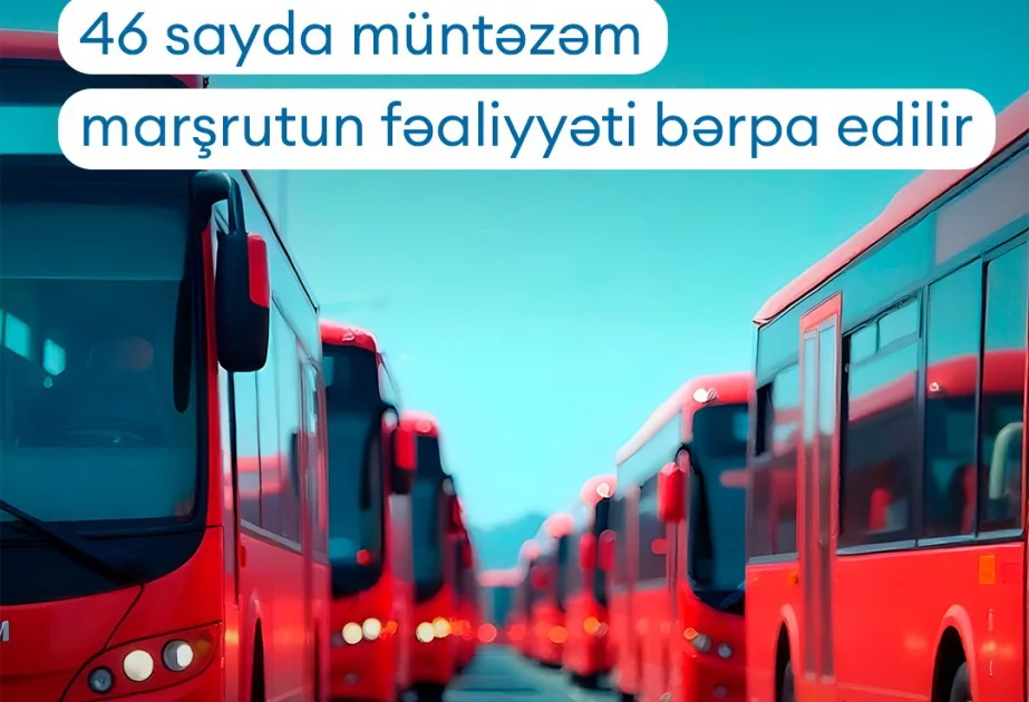 Noyabrın 25dən Bakıda avtobus marşrutlarının fəaliyyəti bərpa edilir