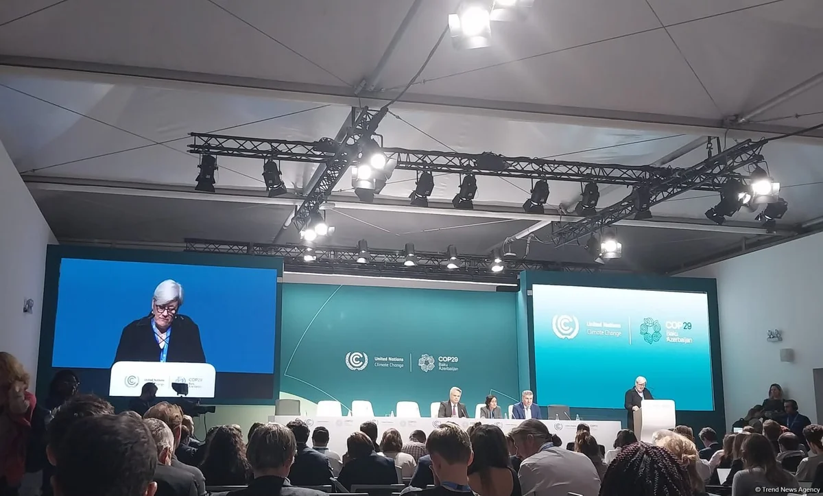 Крайне важно договориться на COP29 по ключевым направлениям Парижского соглашения представитель Великобритании